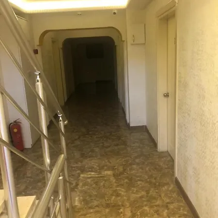 Nevizade